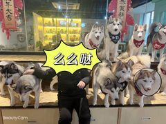 -Husky Go! 哈士奇体验馆·宠物咖啡厅狗咖