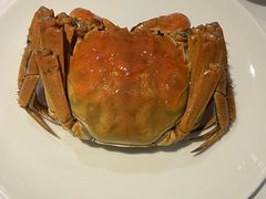 -南麓·浙里(外滩店)
