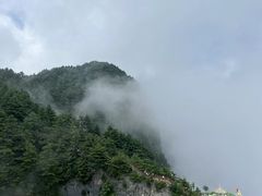 -秦岭天竺山景区