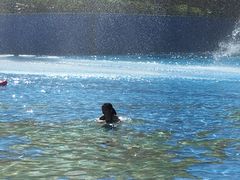 -亚马逊丛林水乐园