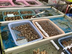 -南沙十九涌渔人码头-南门