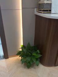 -杭州米兰柏羽医疗美容医院