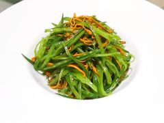 荷兰豆虫花草-清水蘭軒
