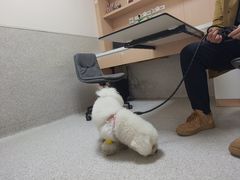 -谐和贝康宠物医院24小时·宠保定点(急重症转诊中心)