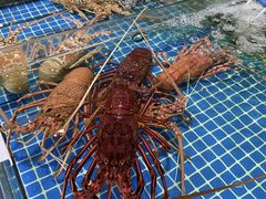 -三亚火车头万人海鲜广场