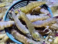 -聚盛源蒸汽海鲜火锅烤肉自助(巨川金海岸购物广场店)