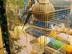 -潇湘·永州会馆(百子湾店)