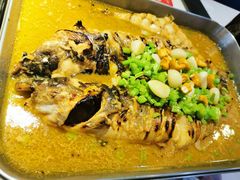 -鱼酷活鱼烤鱼(中联广场店)