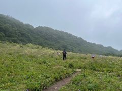 -白草畔自然风景区