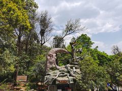 -蝴蝶泉公园