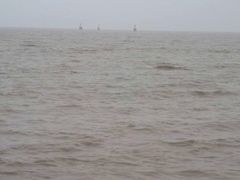 -碧海金沙