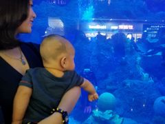 -成都浩海立方海洋公园