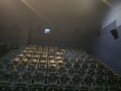 -SFC上影百联影城(川沙IMAX店)