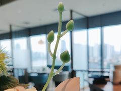 -和苑酒家·一线江景(星寰店)