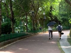 -金鸡山公园