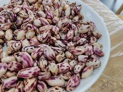 -食神又名厕所兔