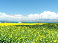 -青海湖国家重点风景名胜区