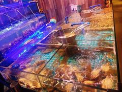 -领鲜活海鲜榴莲自助火锅(东门店)