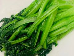 -食神鱼头佛跳墙(百子湾旗舰店)