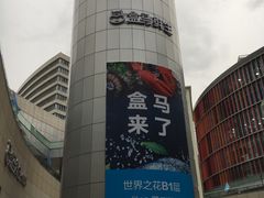 -盒马X会员店(王府井奥莱UP TOWN店)