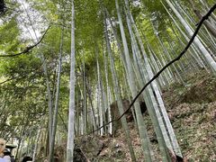 -藏龙百瀑风景区