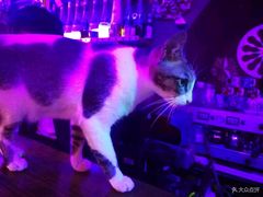 -星宿秘码(鼓浪屿老店)