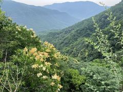 -妙峰山风景名胜区