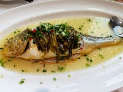 -老洋房花园饭店(绍兴路店)