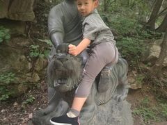 -王顺山国家森林公园