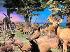 -国家自然博物馆