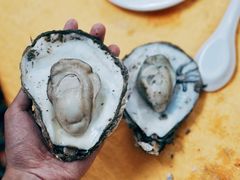 -蚝专家(北滘店)