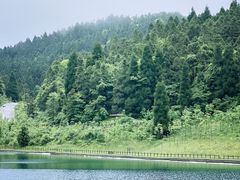 -武陵山森林公园