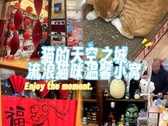 -猫的天空之城概念书店(大学路店)