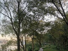 -茅家埠