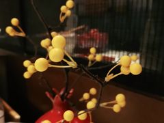 -京华烟云·北京烤鸭(领展购物广场·中关村店)