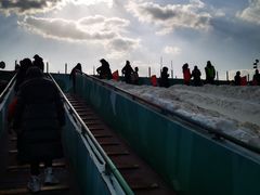 -绿野森林乐园冰雪季