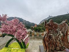 -京东石林峡风景区