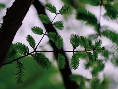 -浙江农林大学(东湖校区)