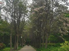 -洛阳市隋唐城遗址植物园