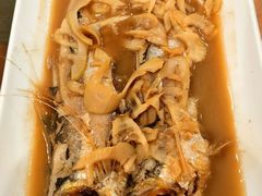-孔庆璞河豚馆(白玉兰酒店)