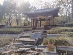 -武汉园博园(武汉自然博物馆)