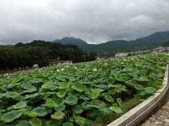 android_upload_pic-古田会议纪念馆