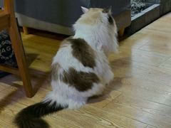 -白兔子密室(长寿路店)