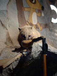 -Zoolung Zoolung动物主题公园(海信广场店)