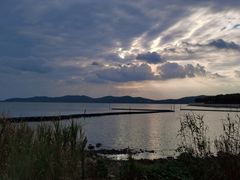 -上海市保健医疗中心