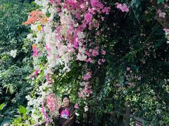 -祥源·阜阳生态乐园