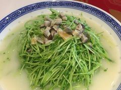 上汤豆苗-禄鼎记·多口味酸菜鱼(侨鑫店)