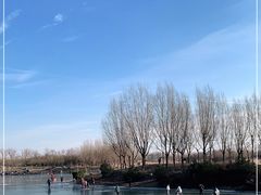 -马家湾湿地公园