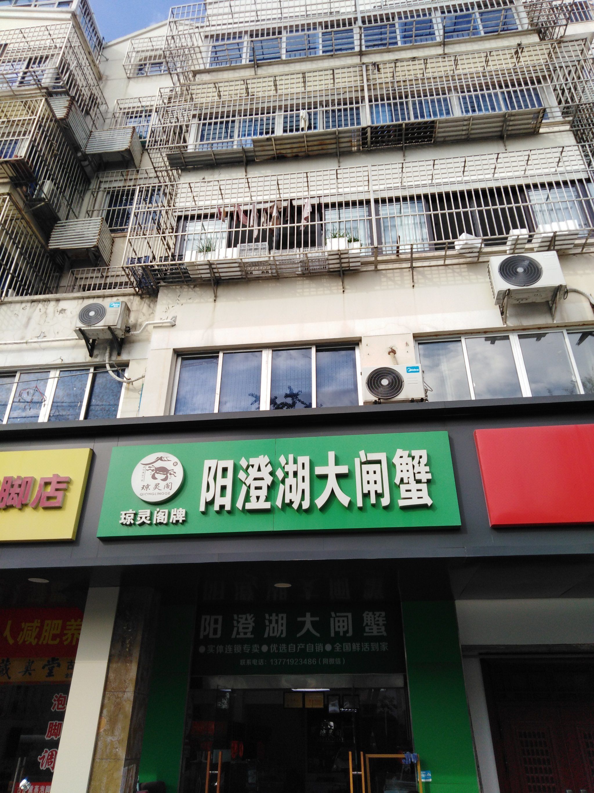 大闸蟹到碗里来