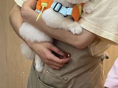 -BABIT巴比特宠物(MOMOPARK店)